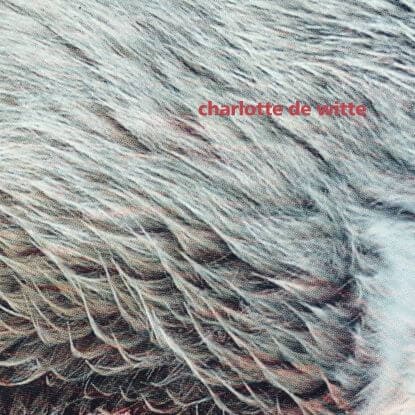 Charlotte De Witte - Vision EP (Kangding Ray Remix) Vinyl