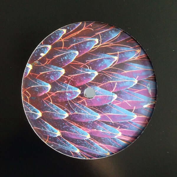 Chupacabras / Brother Y - TUTAMEN 001 Vinyl