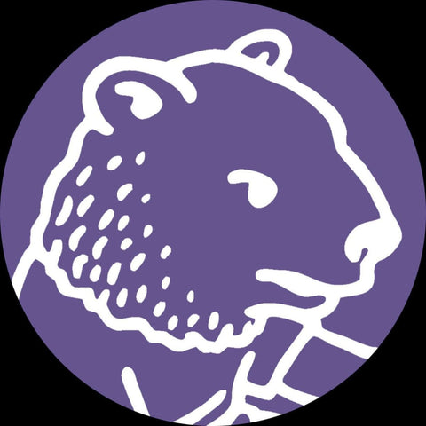 Cignol - Darya Message (Incl. Transparent Sound Remix) Vinyl - Vinyl Record