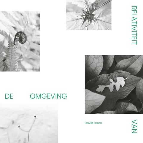 David Edren - Relativiteit Van de Omgeving Vinyl - Vinyl Record