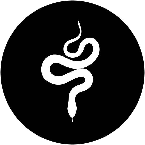 David Lohlein - VISION I - Nysa Vinyl