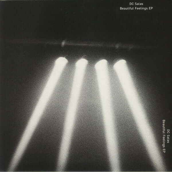 D.C. Salas - The Beautiful Feelings EP Vinyl