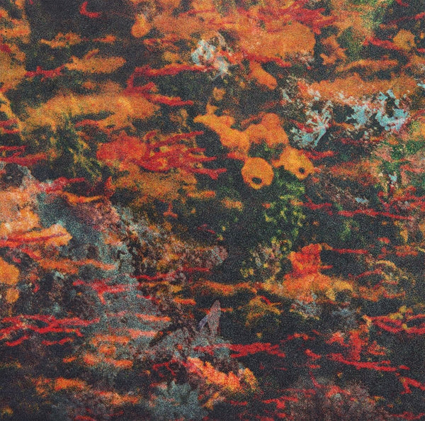 Deep Nalstrom - 'Naissance Aux Mondes Invisibles' Vinyl Vinyl