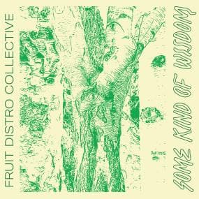 Fruit Distro Collective - Some Kind Of Wisdom - Artists Fruit Distro Collective Genre Beats, Nu-Jazz, Neo-Soul Release Date 16 Dec 2022 Cat No. DGXRWR01 Format 2 x 12