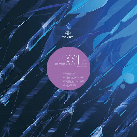 DL/MS / K1 / The Exaltics / Privacy - Trust XY.1 Vinyl - Vinyl Record