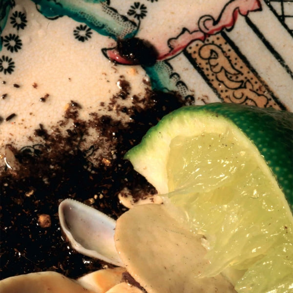 Donato Dozzy - Plays Bee Mask Vinyl