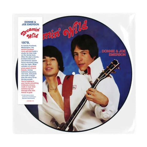 Donnie & Joe Emerson - Dreamin Wild (Picture Disc) Vinyl - Vinyl Record