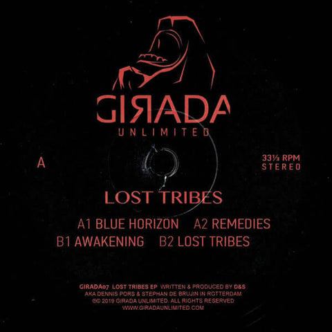 D&S - Lost Tribes Vinyl - Vinyl Record
