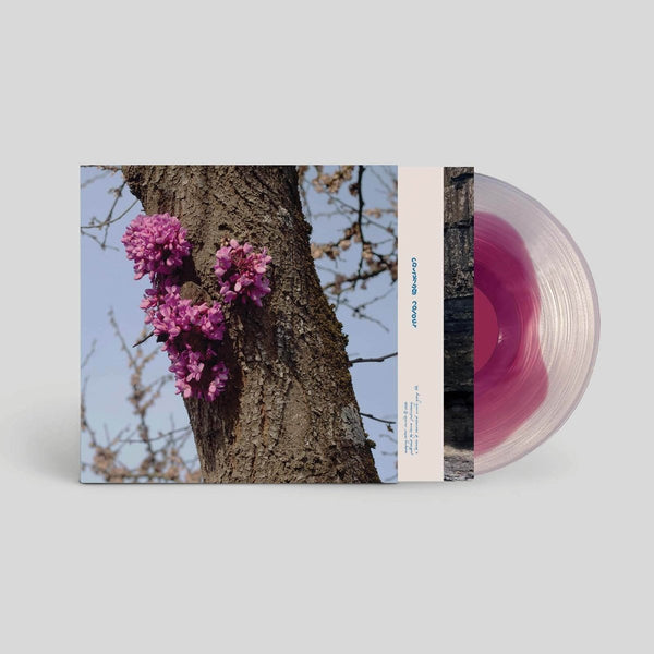 Duval Timothy - Meeting With A Judas Tree Vinyl