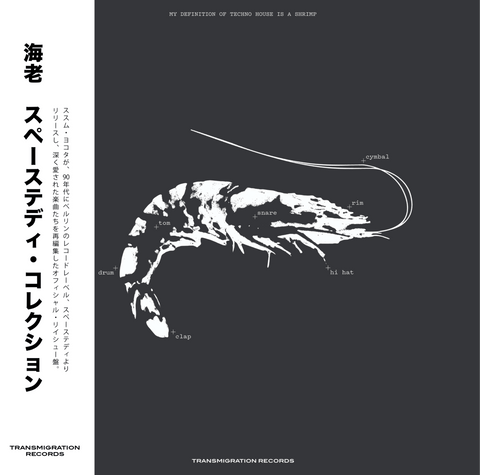 Ebi - Space Teddy Collection Vinyl - Vinyl Record