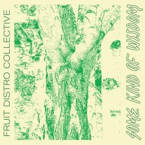 Fruit Distro Collective - Some Kind Of Wisdom Vinyl - Vinyl Record