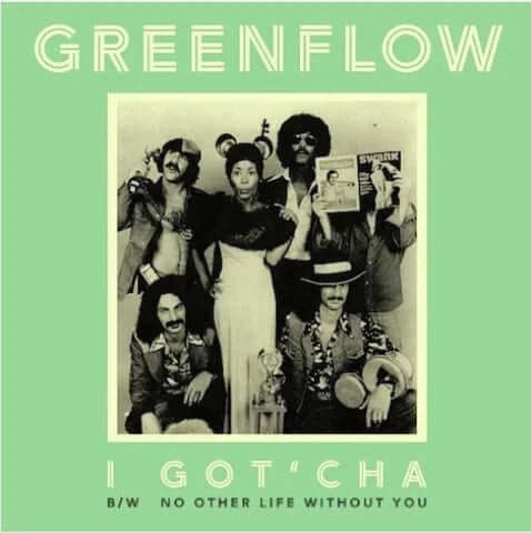 Greenflow - I Got Cha Vinyl - Vinyl Record