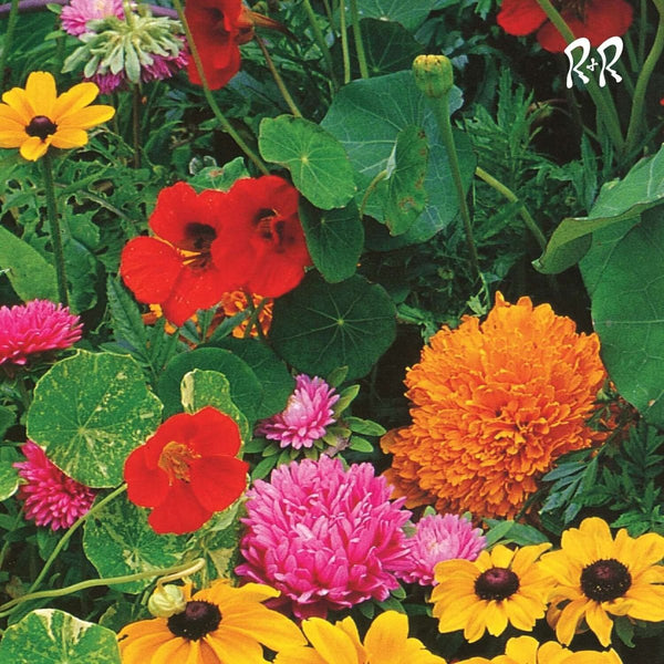 Huerta - TV Slang Vinyl