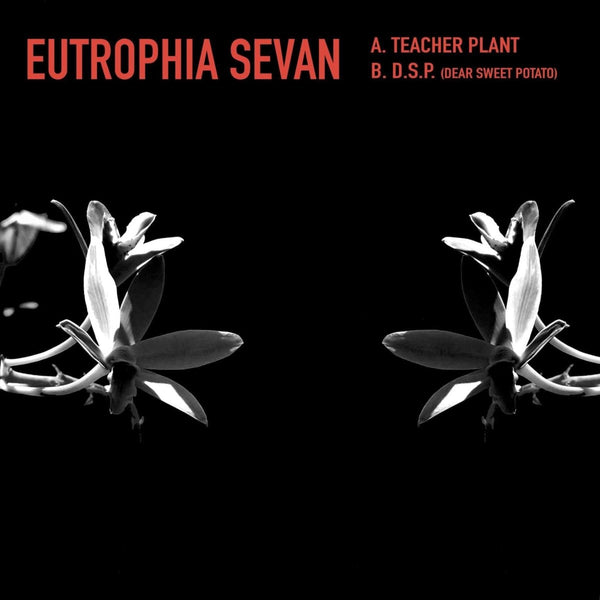 Kyle Hall - 'Eutrophia Sevan' Vinyl Vinyl