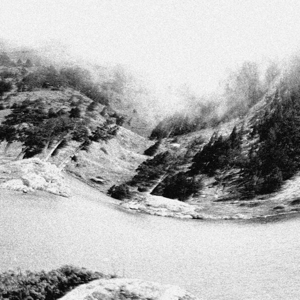 Leonard Lampion - '240283' Vinyl Vinyl