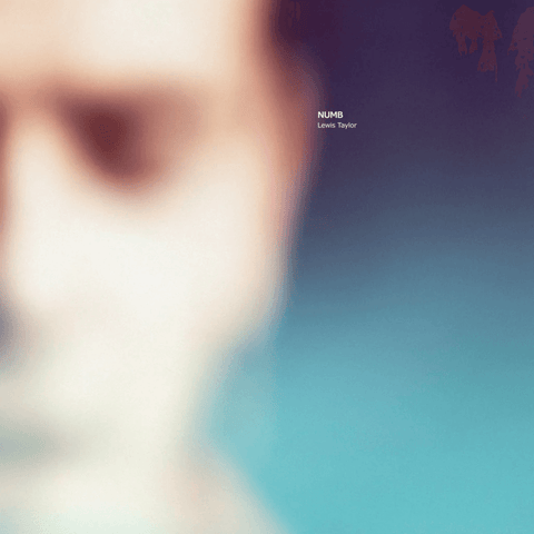 Lewis Taylor - Numb Vinyl - Vinyl Record