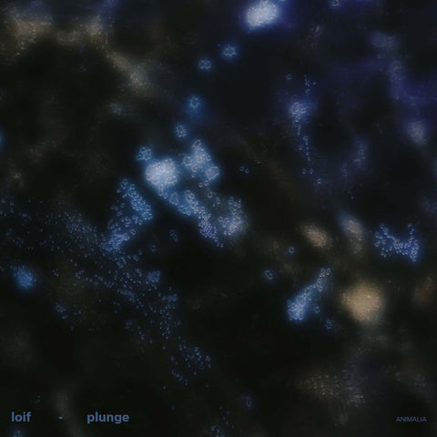 LOIF - Plunge Vinyl - Vinyl Record