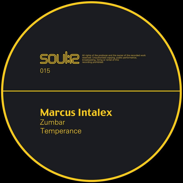 Marcus Intalex - 'Zumbar / Temperance' Vinyl (NM Sleeves) Vinyl