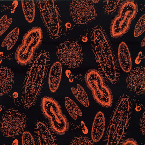 Michael Walsh - Before When It Was New Vinyl