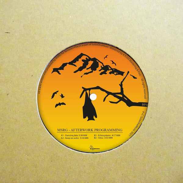 MSRG - Afterwork Programming Vinyl