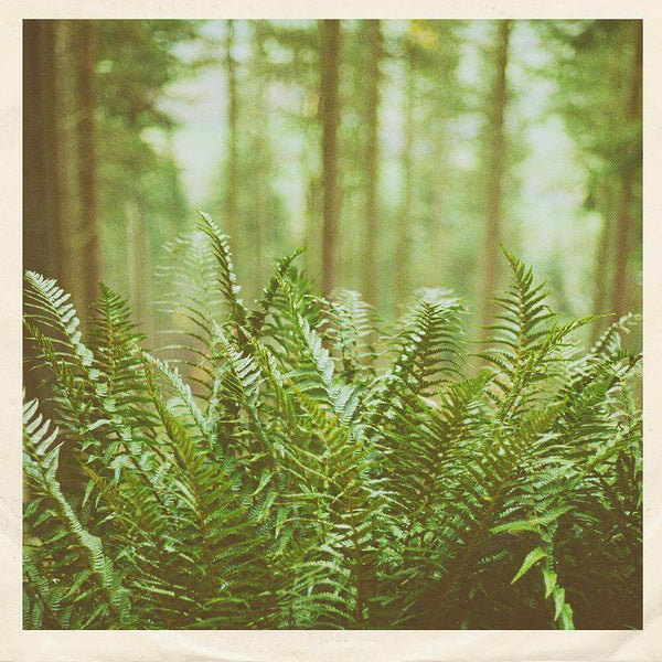 mtbrd - Just Visiting Vinyl