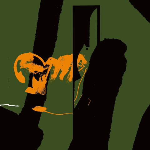 NAP - Intima Vinyl - Vinyl Record