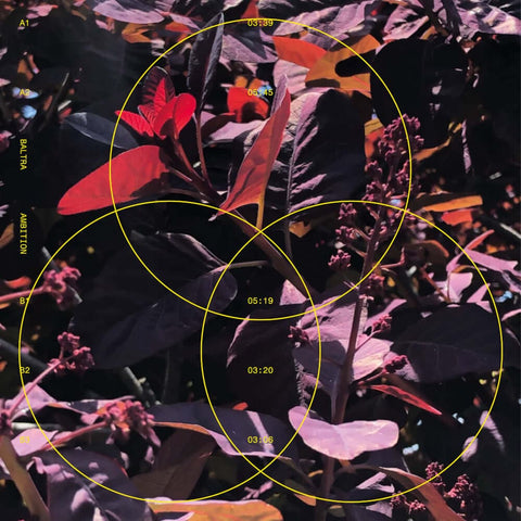 Narciss - Dear Diary EP Vinyl - Vinyl Record