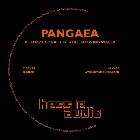 Pangaea - Fuzzy Logic Vinyl - Vinyl Record