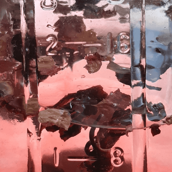 Pontiac Streator - Triz Vinyl