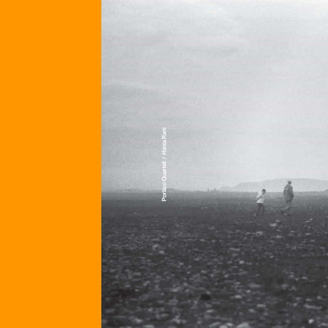 Portico Quartet & Hania Rani - Portico Quartet / Hania Rani Vinyl - Vinyl Record