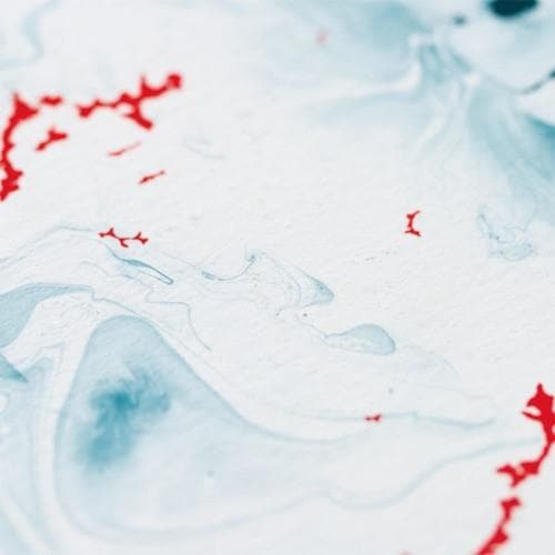 Primary Perception  - Evidence Of A Primary Perception Vinyl