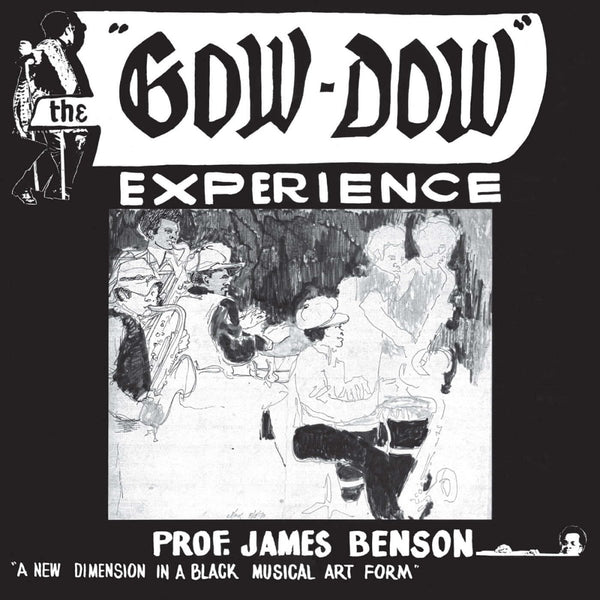Prof James Benson - The Gow - Dow Experience Vinyl