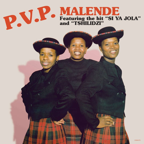 PVP - Malende Vinyl - Vinyl Record