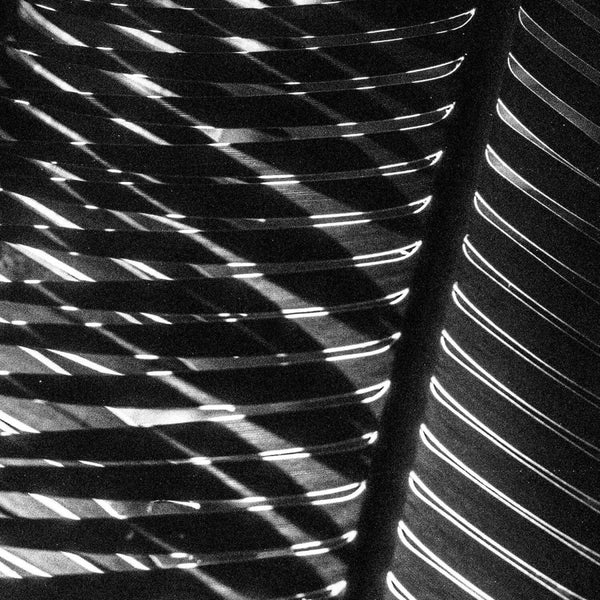 Revivis - Trip To Luzon Vinyl