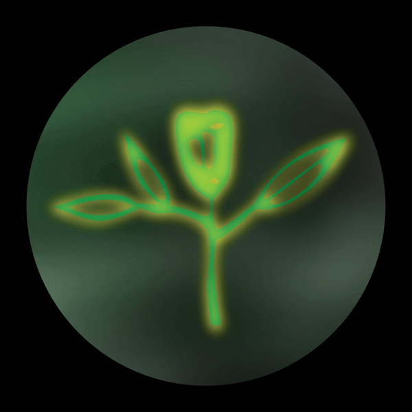 SAM  - 'Fury's Laughter' Vinyl Vinyl