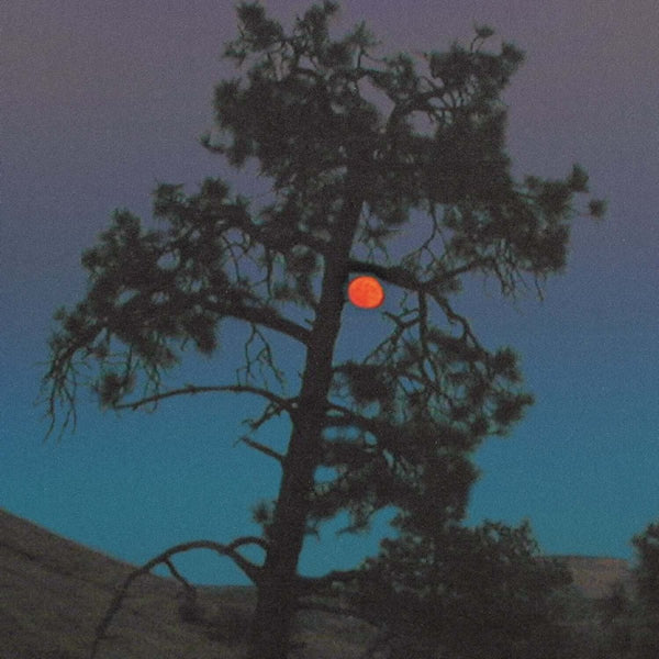 Sansibar - Sans Musique Vinyl