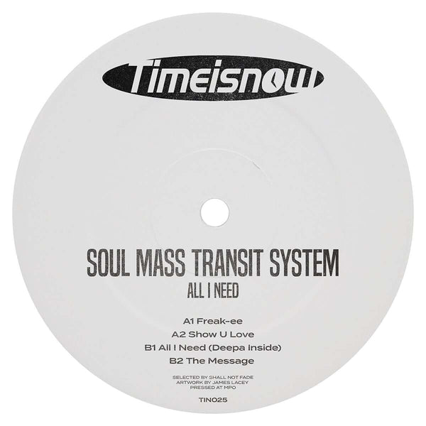 Soul Mass Transit System - All I Need Vinyl