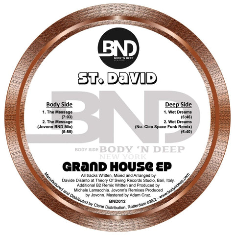 St David - Grand House Vinyl - Vinyl Record
