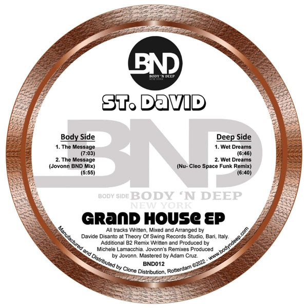 St David - Grand House Vinyl