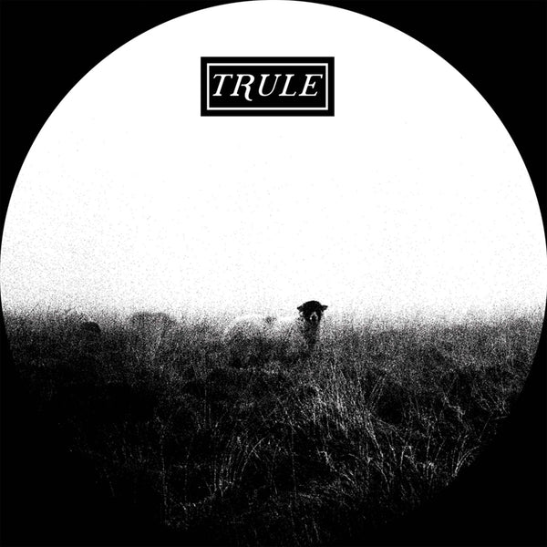 Stefàn Dubs - Spring Tones Vinyl