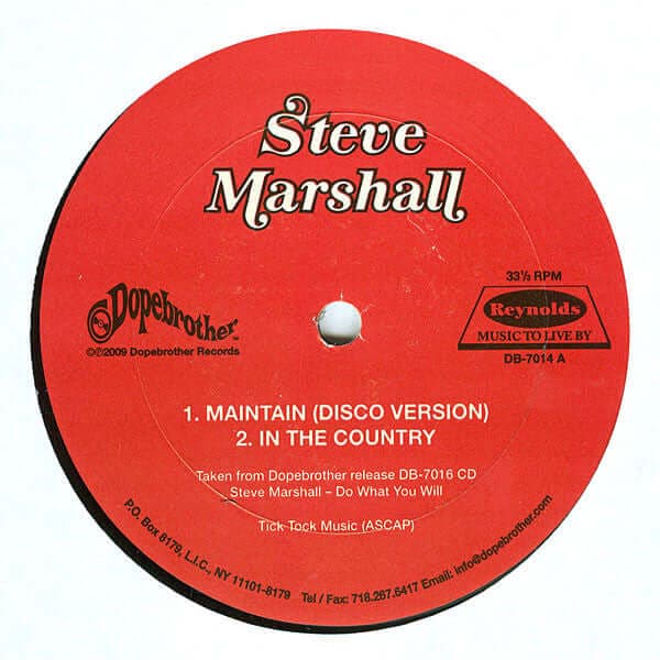 Steve Marshall - Maintain (Disco Version) Vinyl