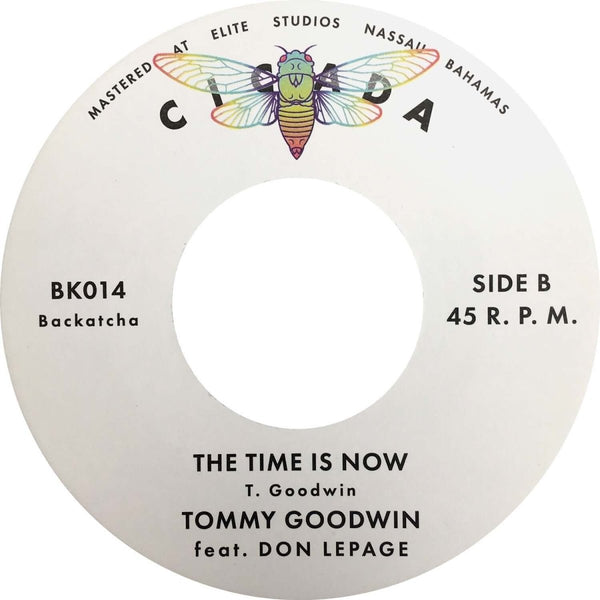 The Nassauvians - Slacking Off Vinyl