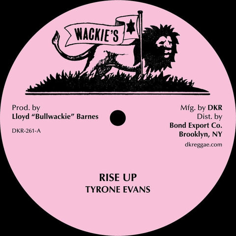 Tyrone Evans - Rise Up (Discomix) Vinyl - Vinyl Record