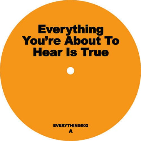 Unknown Artist - Everything You’re About to Hear Is True EP2 Vinyl - Vinyl Record