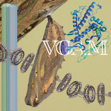 Pariah - 'Caterpillar' Vinyl - Artists Pariah Genre Techno, Trance Release Date 3 Aug 2022 Cat No. VOAM009 Format 12