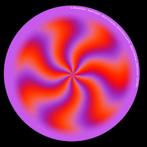 Settle Down - What Is Real - Vinyl Record