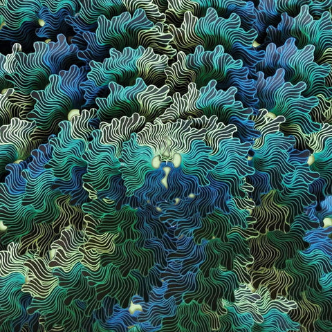 IzangMa - Ngo Ma - Vinyl Record