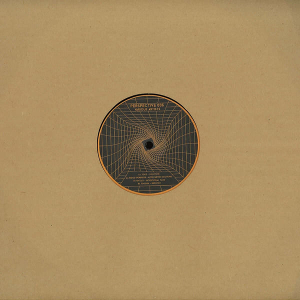 Various - 'PERSPECTIVE 005' Vinyl Vinyl