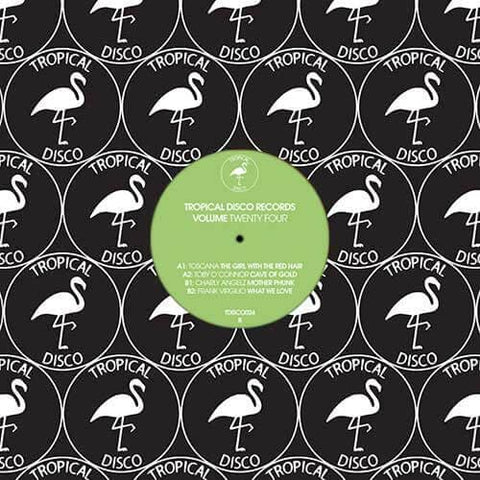 Various - Tropical Disco Records Vol 24 Vinyl - Vinyl Record