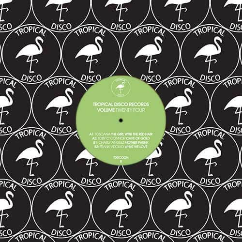 Various - Tropical Disco Records Vol 24 Vinyl